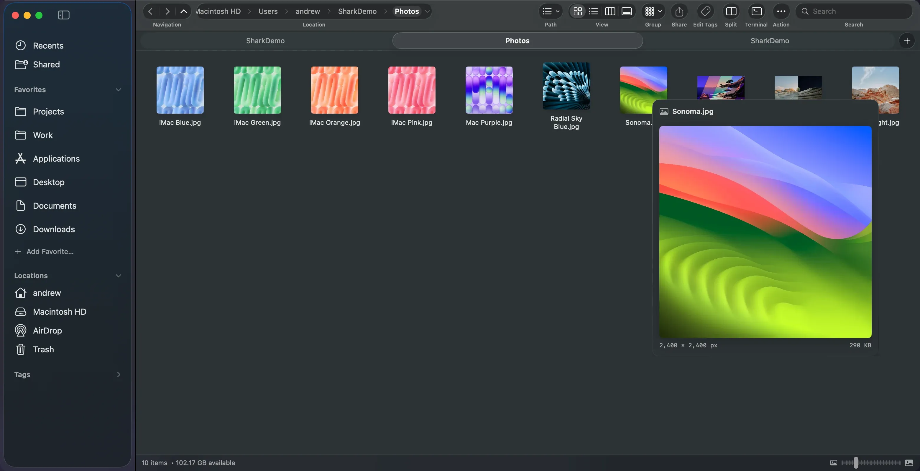A large image preview floating beside a photo in Shark