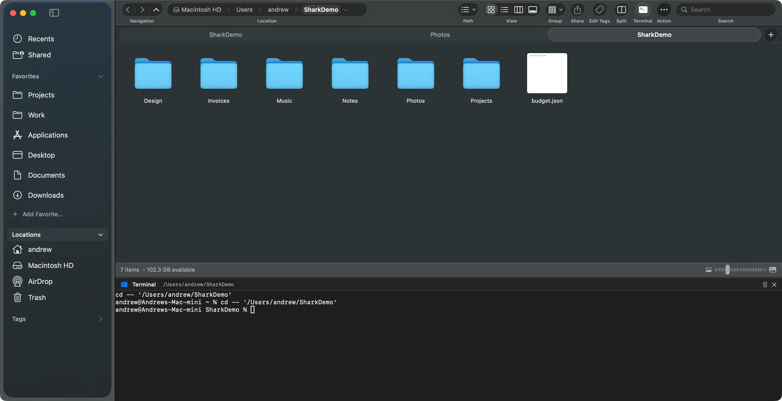 The built-in terminal open below Shark’s file browser